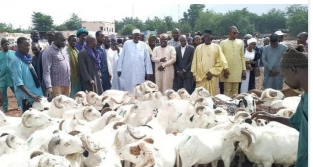 Pas de moutons en Côte d’Ivoire pour Tabaski ?