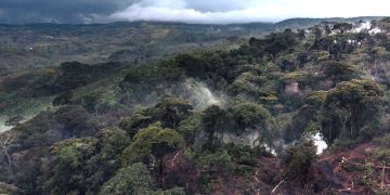 جمهورية الكونغو الديمقراطية: كيف يؤثر الضرر الذي يلحق بالتنوع البيولوجي على عادات الأكل