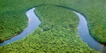 يوفر الأدب من حوض الكونغو سبلاً للتعامل مع أزمة المناخ