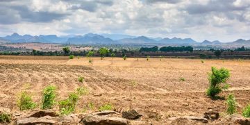Comment les sécheresses influent sur la déforestation